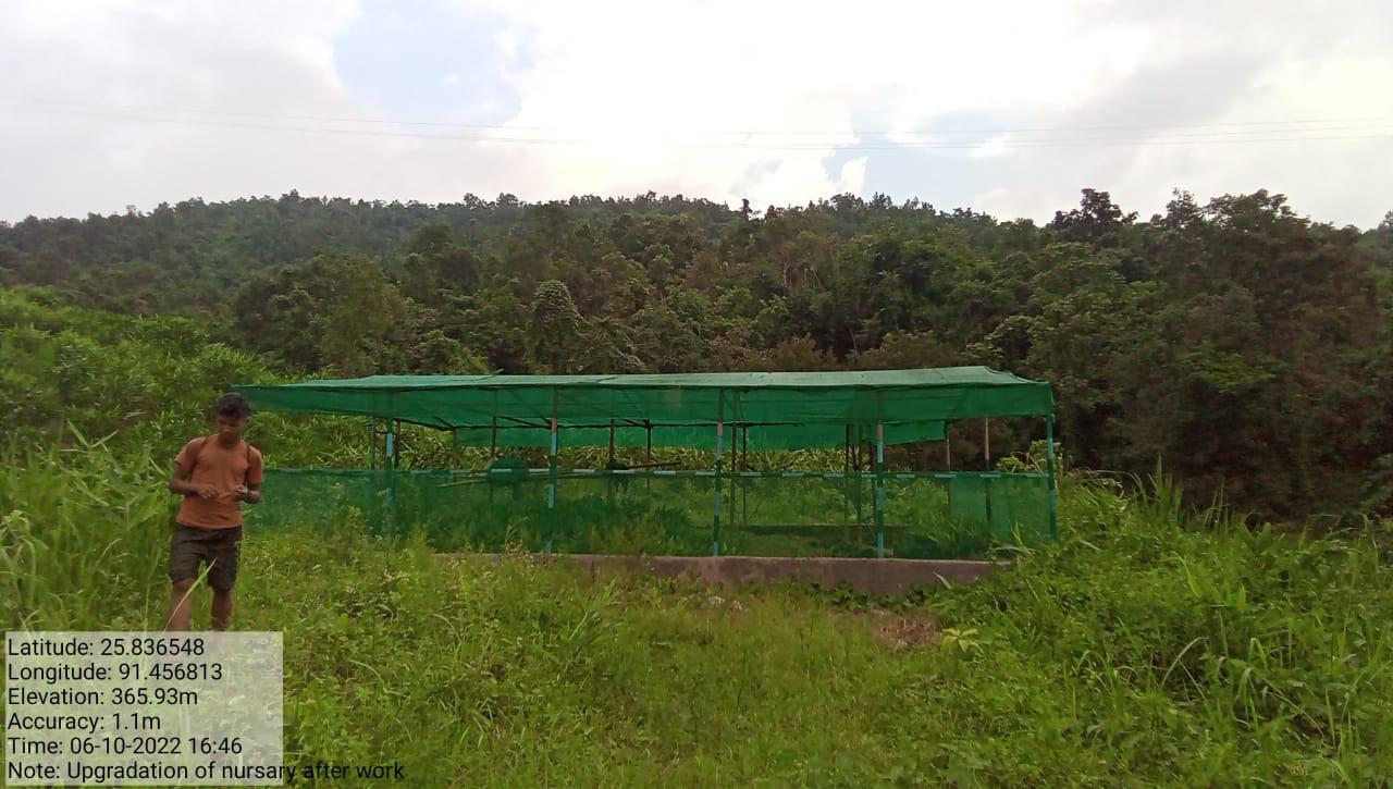 G:\VILLAGE REPORT PICTURES\JIRANG BLOCK\Belaheri\WhatsApp Image 2023-02-03 at 11.55.11.jpeg